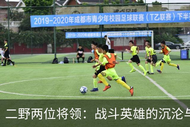 二野两位将领：战斗英雄的沉沦与教训