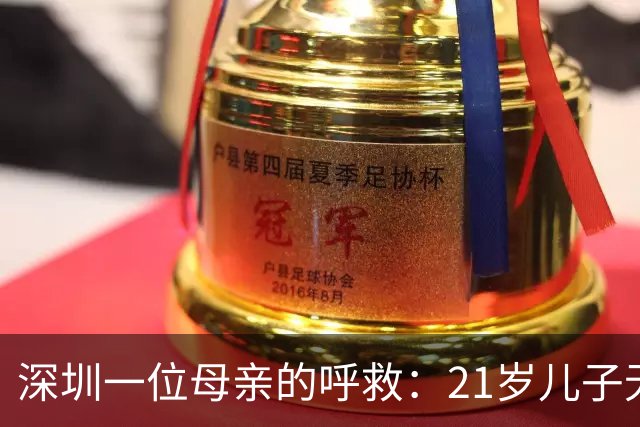 深圳一位母亲的呼救：21岁儿子无所事事，曾对她施暴的背后故事